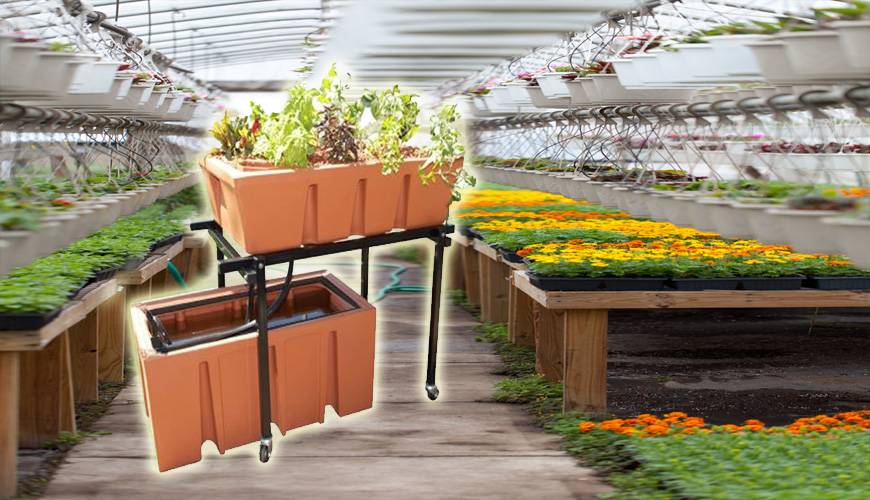 Aquaponics System