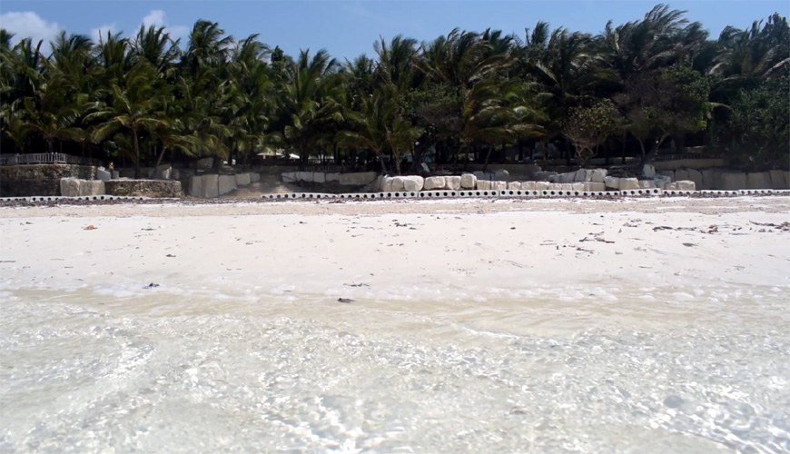 Beach Erosion Solution, Natural Solution to Beach Erosion, Stop Beach Erosion, naturally renourish beaches, dredging alternative