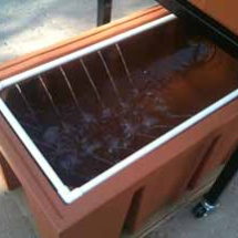 aquaponics4