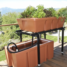 Aquaponics