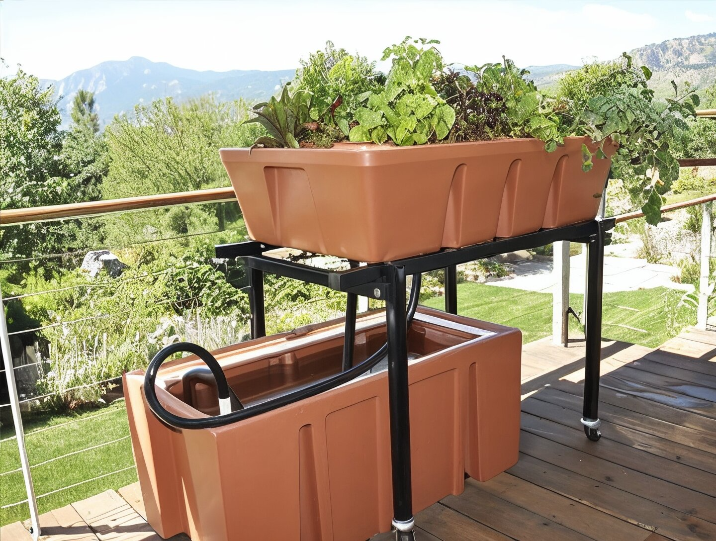 Aquaponics