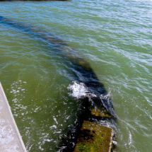 gulfofmexico3