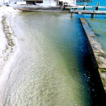 gulfofmexico7