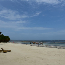 indianoceaninstall5