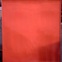 pallets4 Rotomolded Pallet