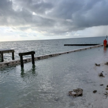 sandsavergulfofmexico2